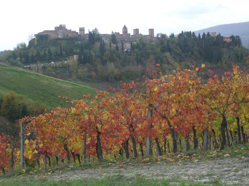 Agriturismo Il Torrione Villa เชร์ตาลโด ภายนอก รูปภาพ