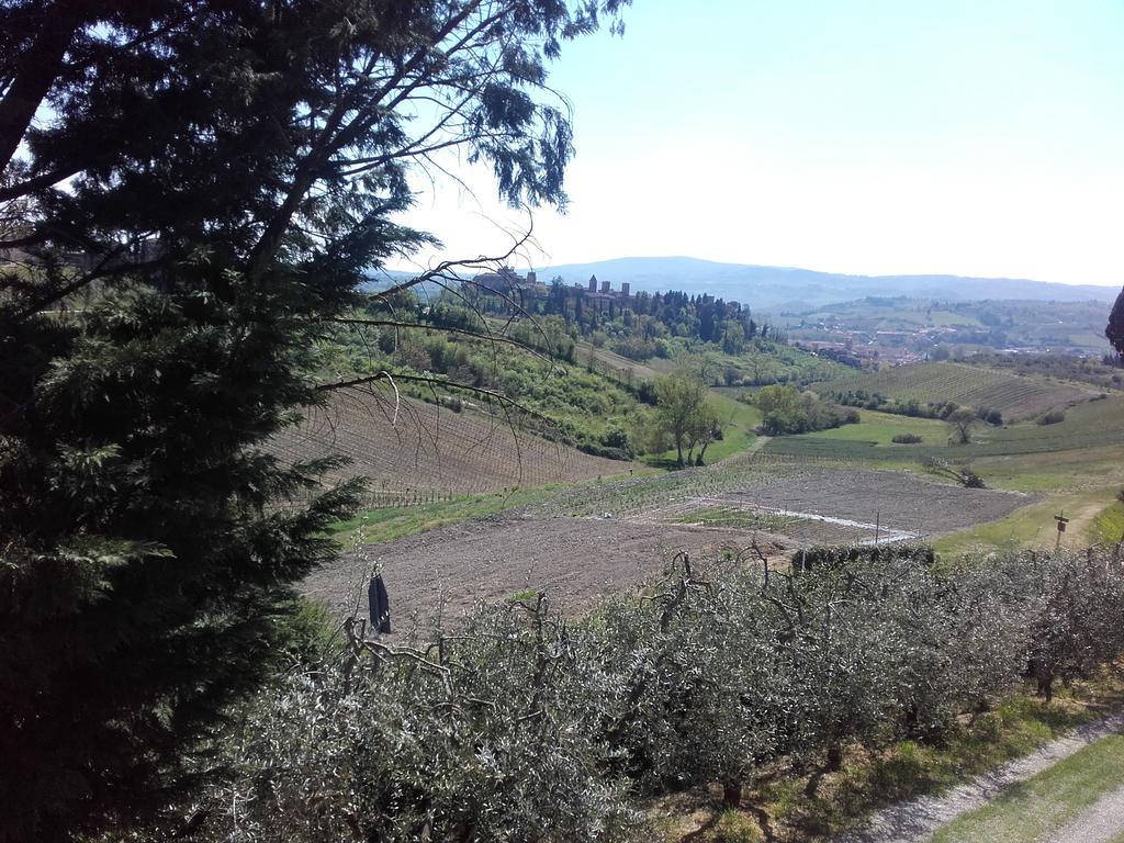 Agriturismo Il Torrione เชร์ตาลโด ภายนอก รูปภาพ