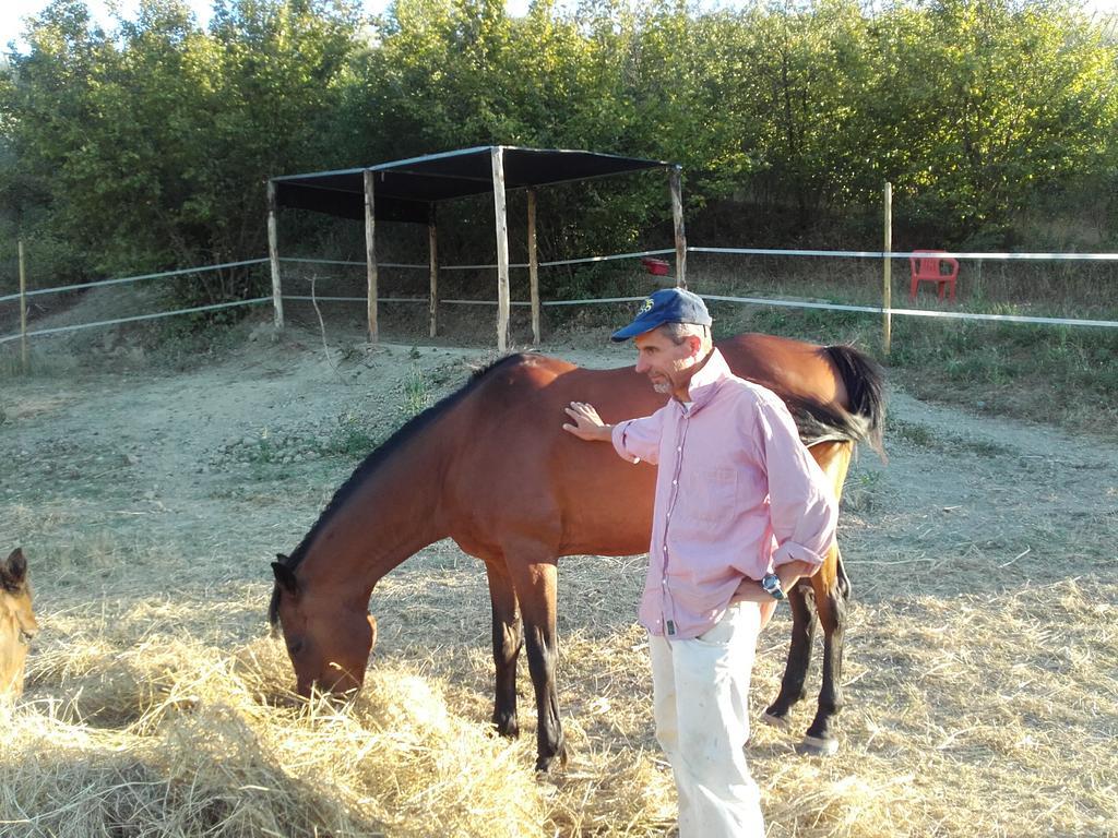 Agriturismo Il Torrione เชร์ตาลโด ภายนอก รูปภาพ