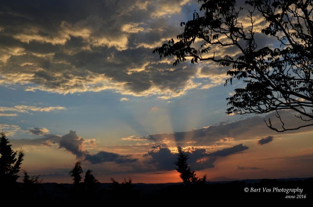 Agriturismo Il Torrione เชร์ตาลโด ภายนอก รูปภาพ