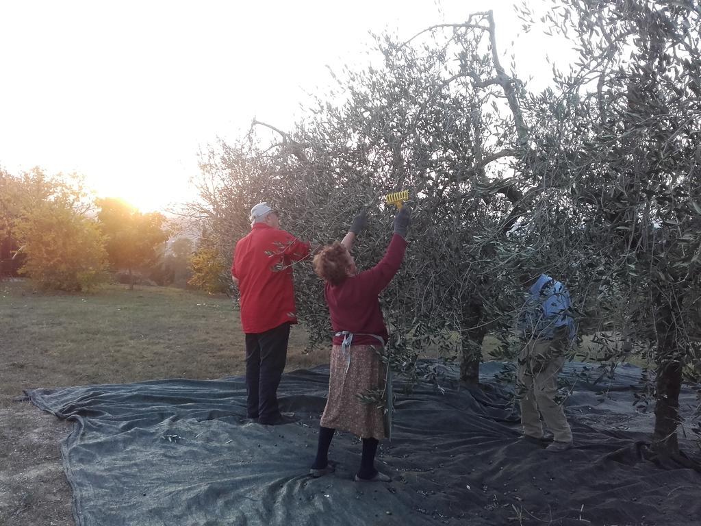 Agriturismo Il Torrione เชร์ตาลโด ภายนอก รูปภาพ