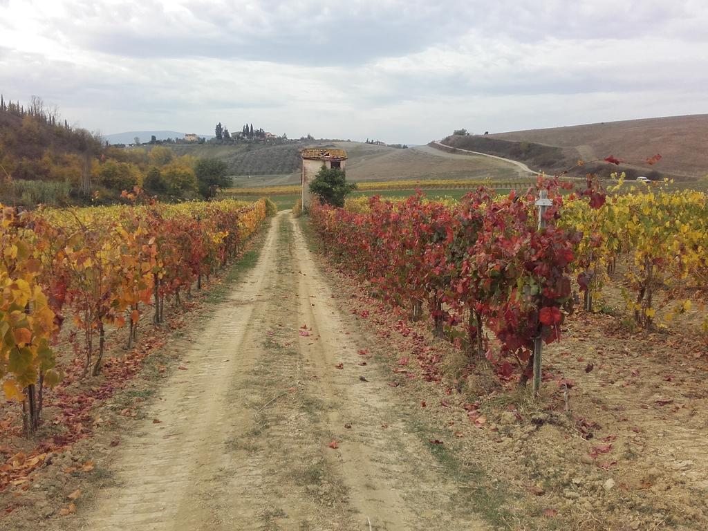 Agriturismo Il Torrione เชร์ตาลโด ภายนอก รูปภาพ