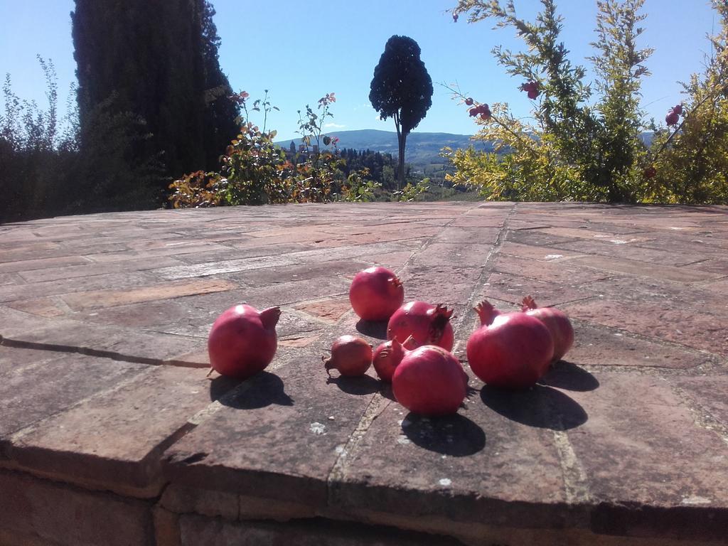 Agriturismo Il Torrione เชร์ตาลโด ภายนอก รูปภาพ