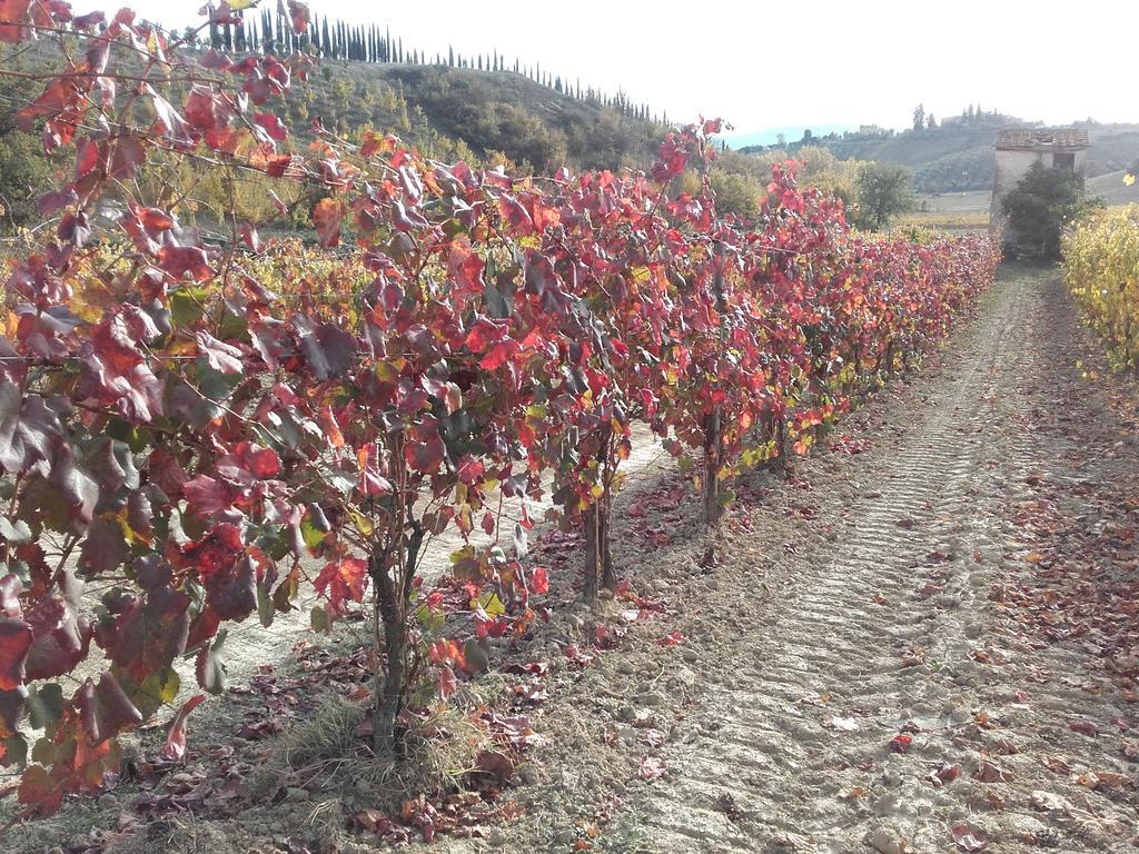 Agriturismo Il Torrione เชร์ตาลโด ภายนอก รูปภาพ