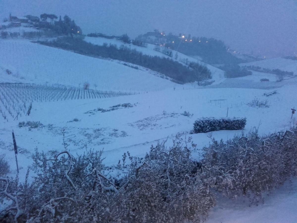 Agriturismo Il Torrione เชร์ตาลโด ภายนอก รูปภาพ