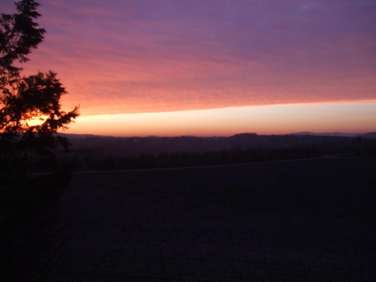 Agriturismo Il Torrione เชร์ตาลโด ห้อง รูปภาพ